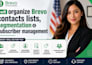 organize brevo email contact lists segmentation subscriber management